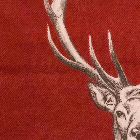 Relais La Cesarina * Vico Canavese