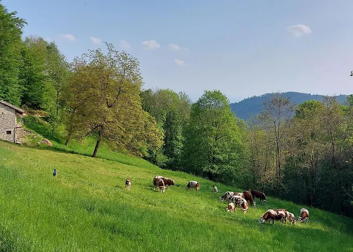 Horská chata Relais La Cesarina Vico Canavese
