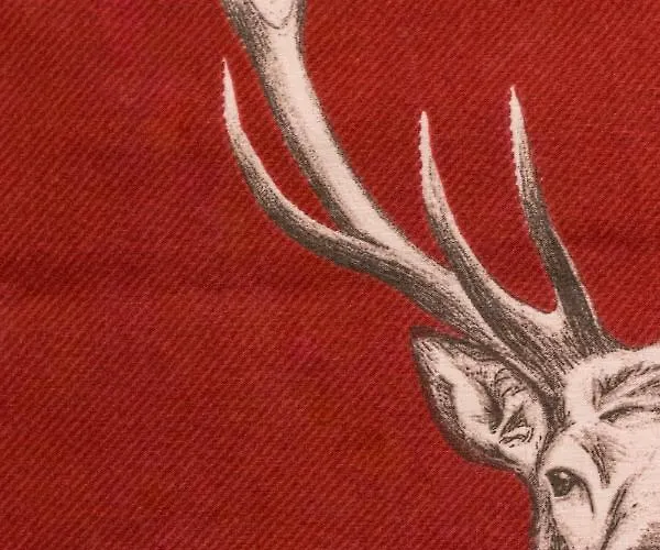 Relais La Cesarina * Vico Canavese